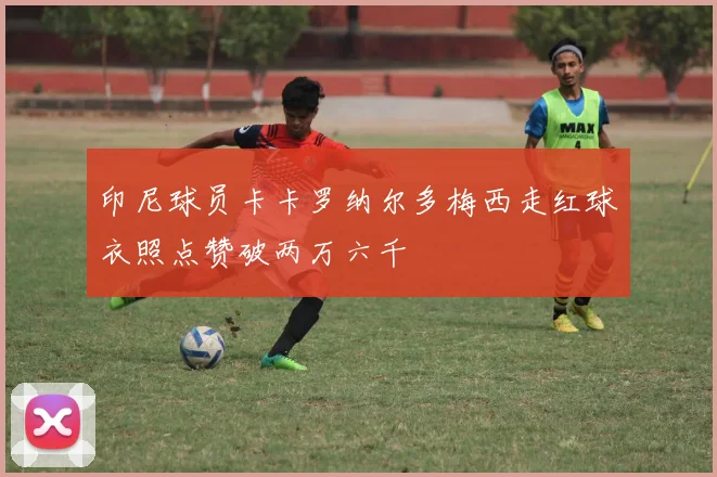 印尼球员卡卡罗纳尔多梅西走红球衣照点赞破两万六千