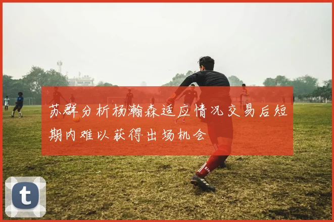 苏群分析杨瀚森适应情况交易后短期内难以获得出场机会