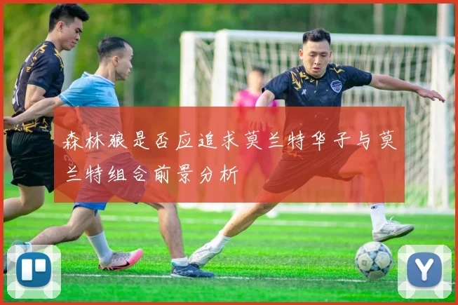 森林狼是否应追求莫兰特华子与莫兰特组合前景分析