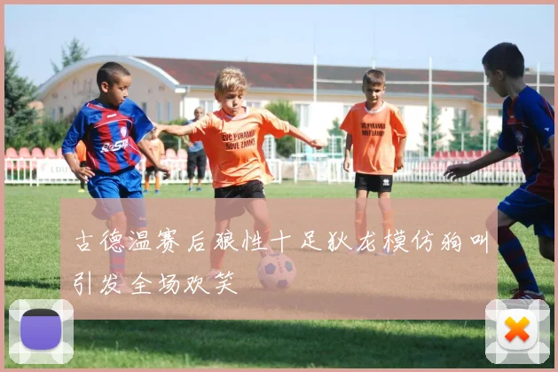 古德温赛后狼性十足狄龙模仿狗叫引发全场欢笑