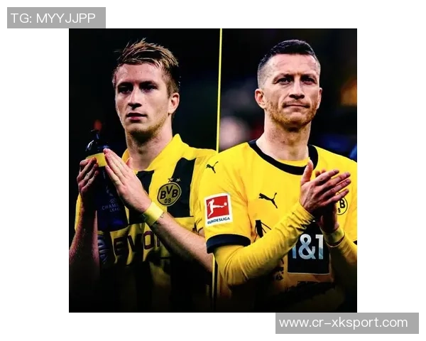 罗伊斯力挺布兰特留队多特未来合作前景可期